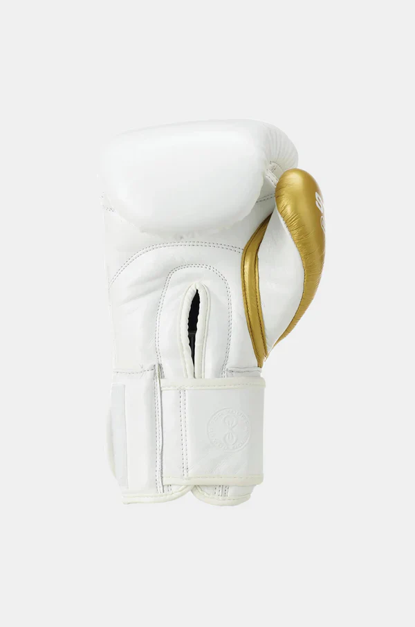Evolution Boxing Gloves - Image 3