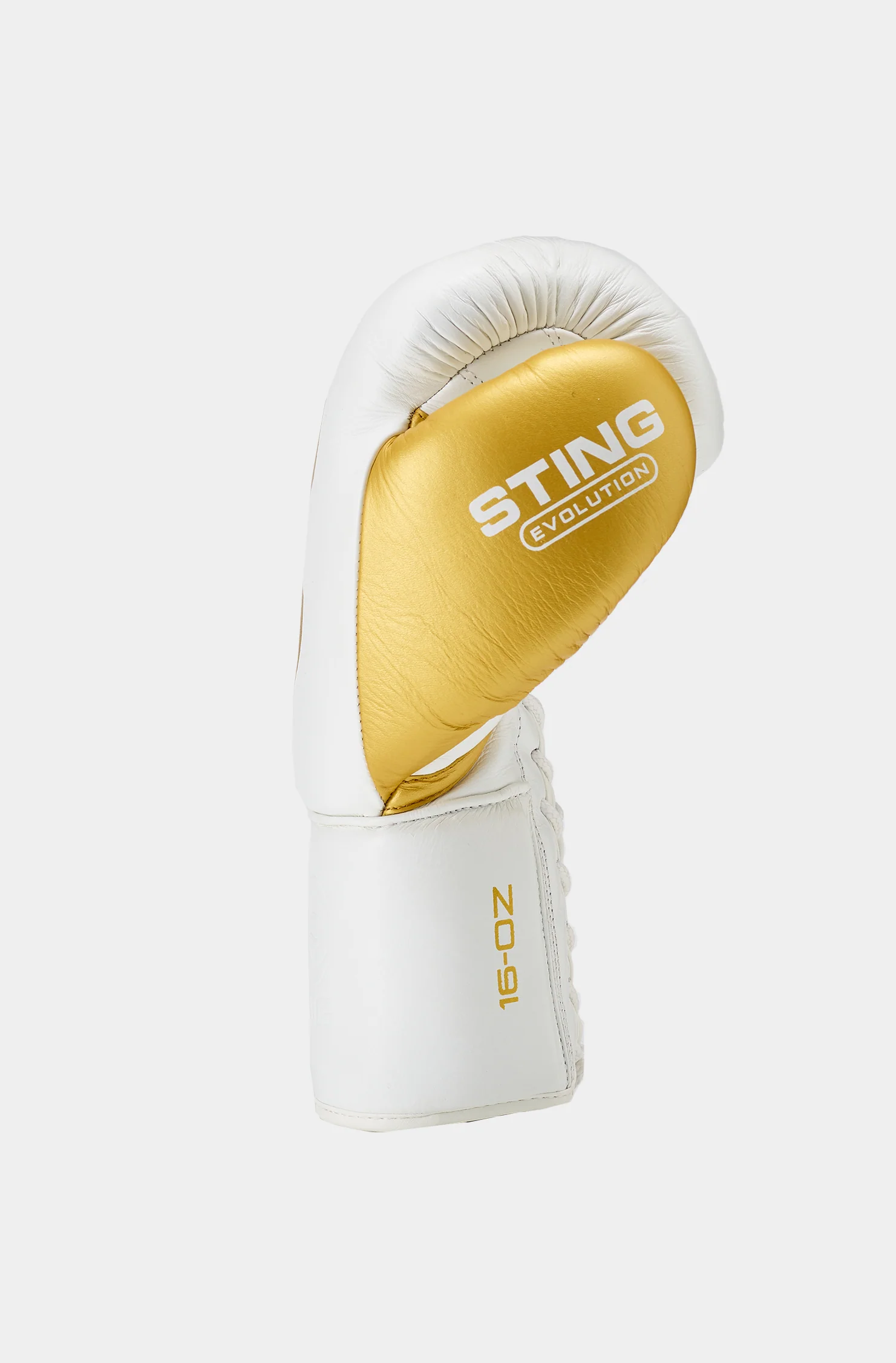 Evolution Fight Gloves - Image 3