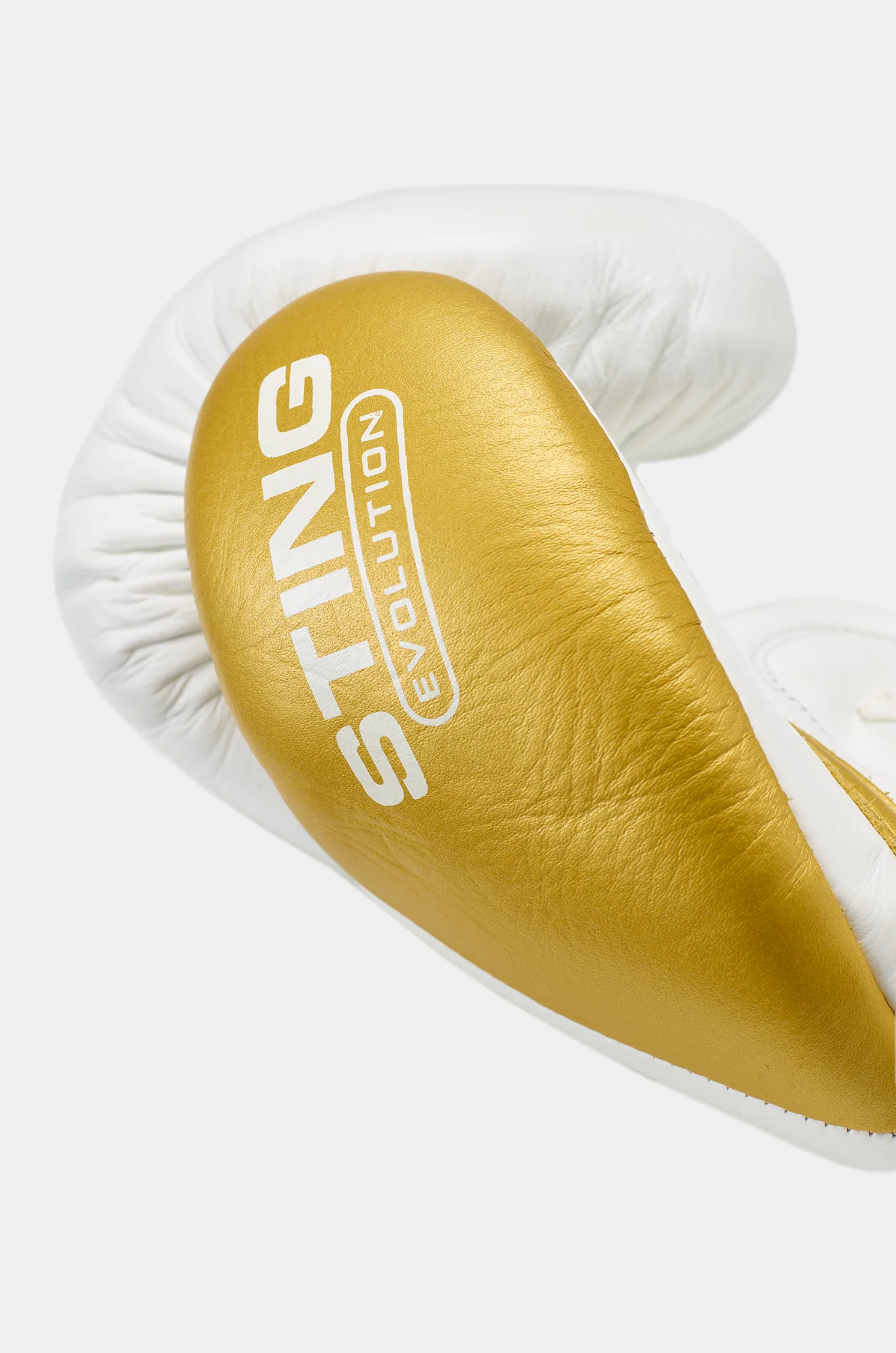 Evolution Fight Gloves - Image 4