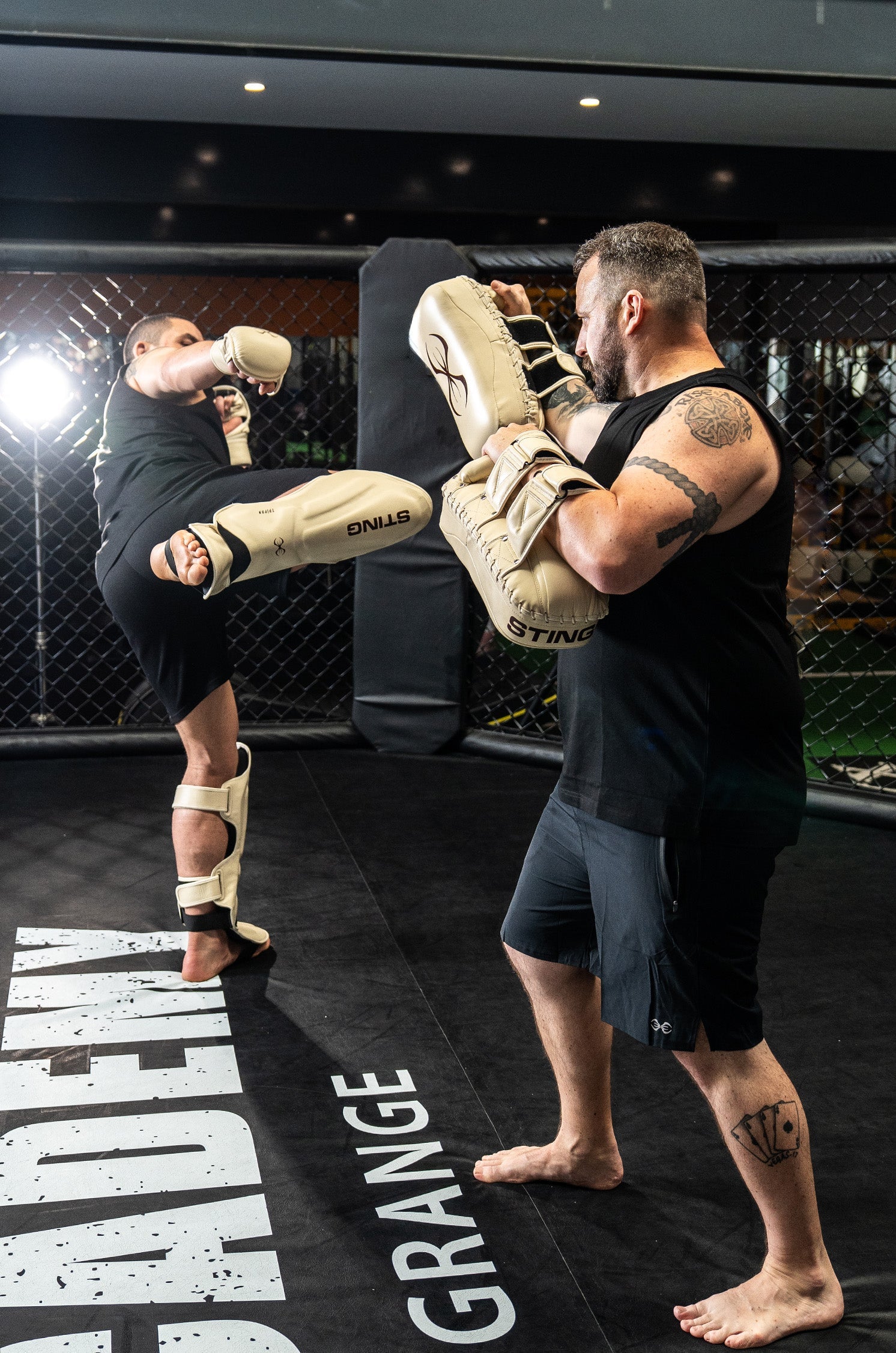 Taipan MMA Shin & Foot Protector - Image 3